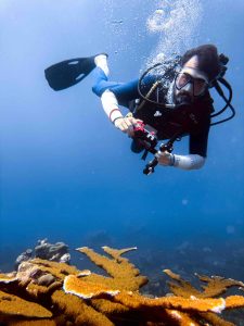 Felipe_Montoya_Conexion_Corales